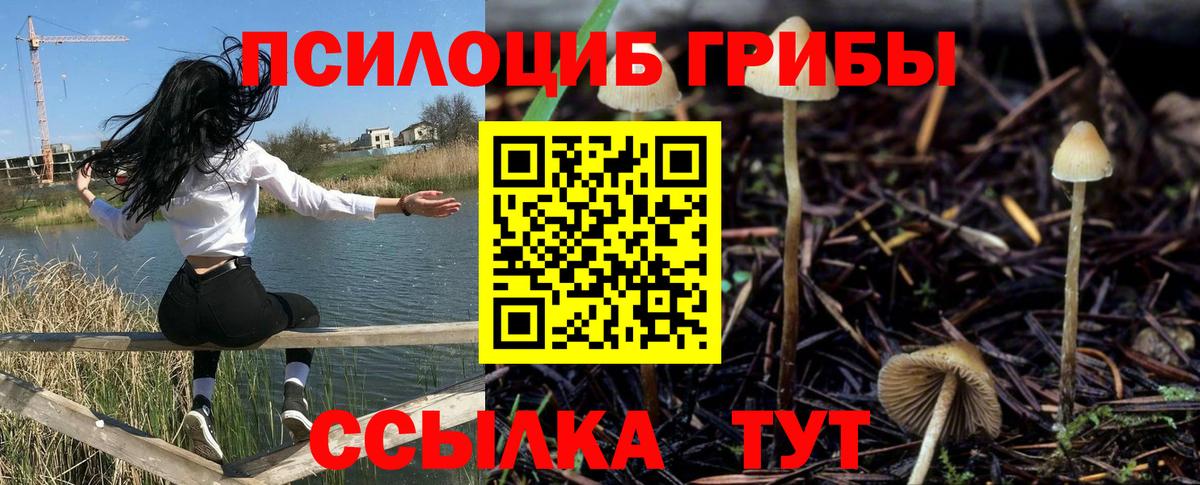 Иваново  Псилоцибиновые грибы ЛСД  Вход с VPN 