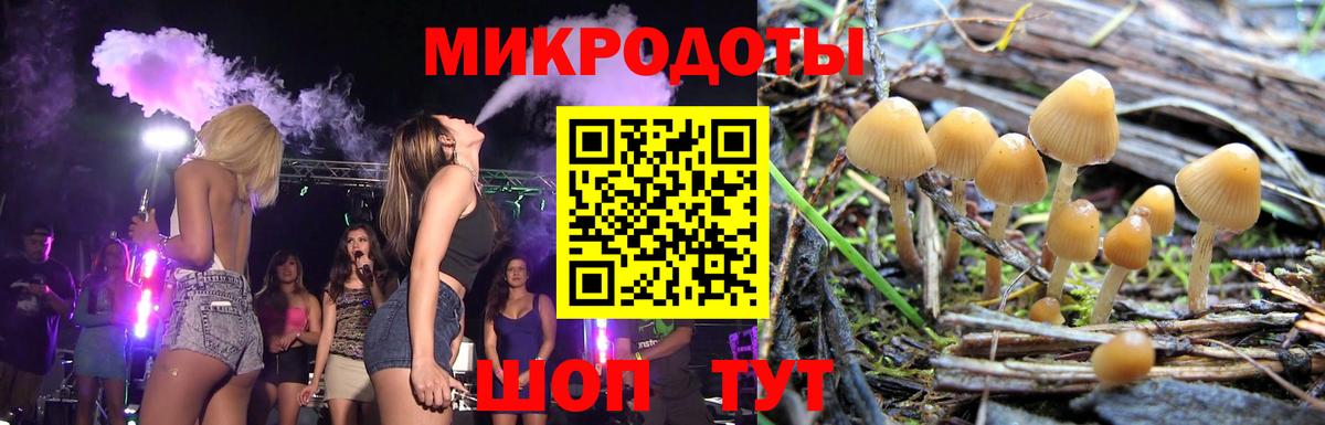 Галлюциногенные грибы Psilocybine cubensis Иваново